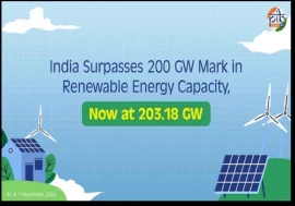 India's renewable energy capacity hits new milestone at 46.3% of total capacity